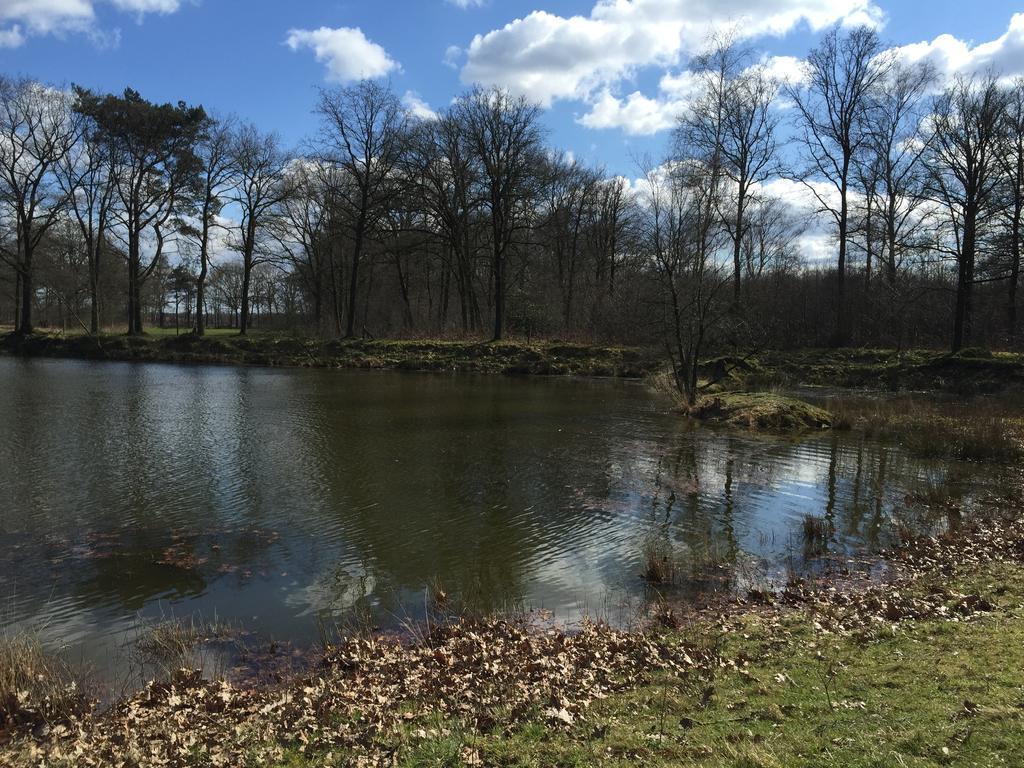 'T Vosseven Vakantiehuizen Stramproy Esterno foto