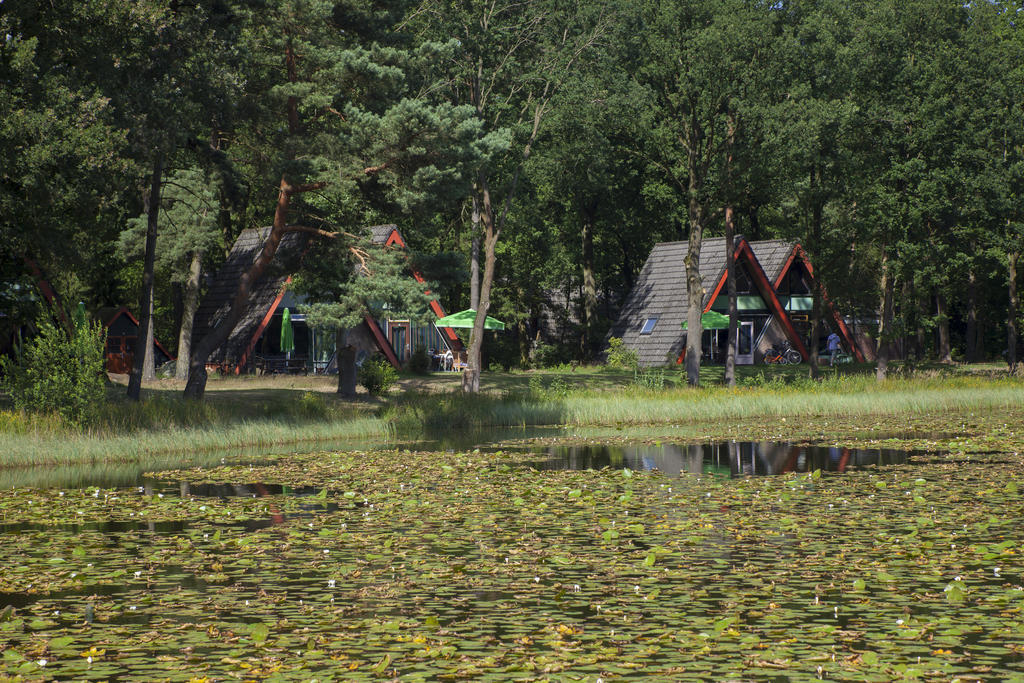 'T Vosseven Vakantiehuizen Stramproy Camera foto