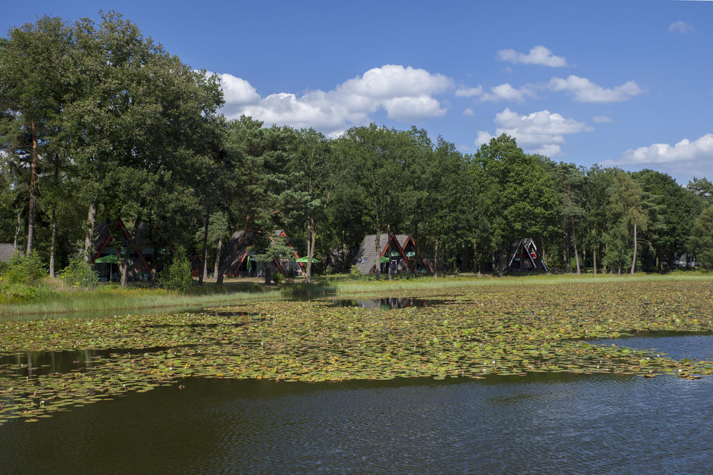 'T Vosseven Vakantiehuizen Stramproy Camera foto